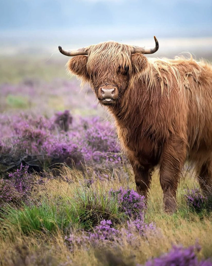 Schermafbeelding 2021-08-01 om 15.05.19