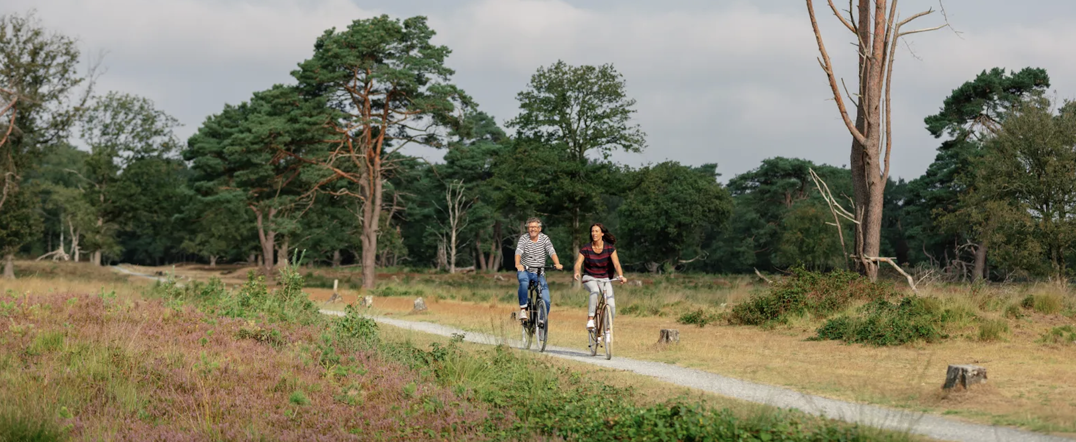 Fietsen door Drents Friese Wold