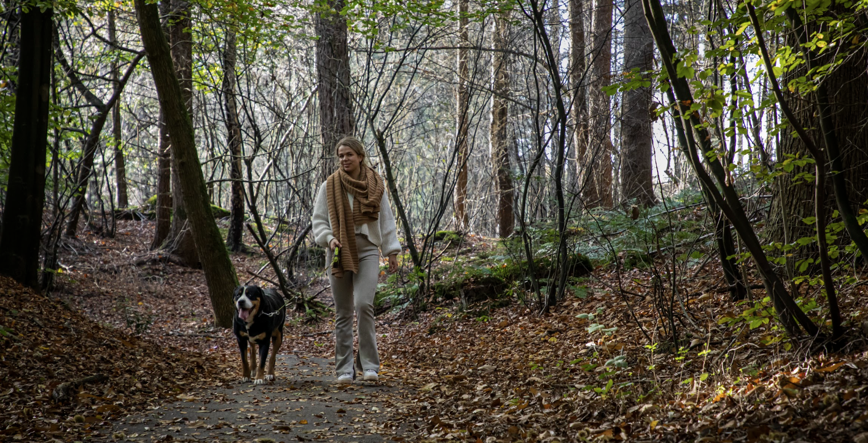 De hond mee op vakantie Doldersum