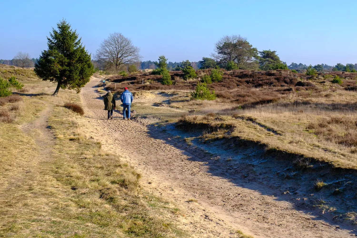 Wandelen in de natuur van het Drents-Friese Wold Wandelen over een zandpad door het uitgestrekte heidelandschap in Drenthe.