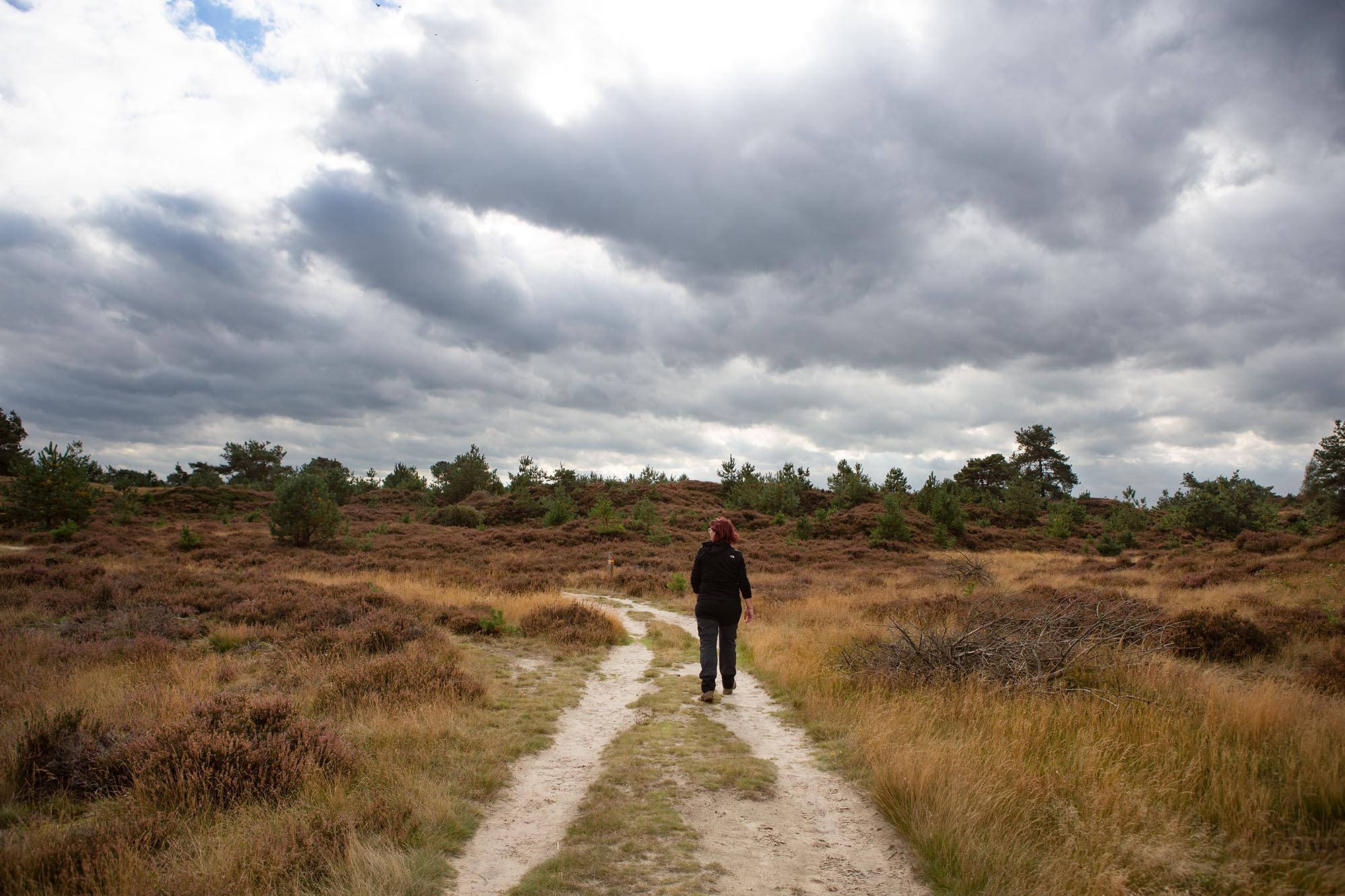 Drents-Friese-Wold-mooiste-wandelroutes-13