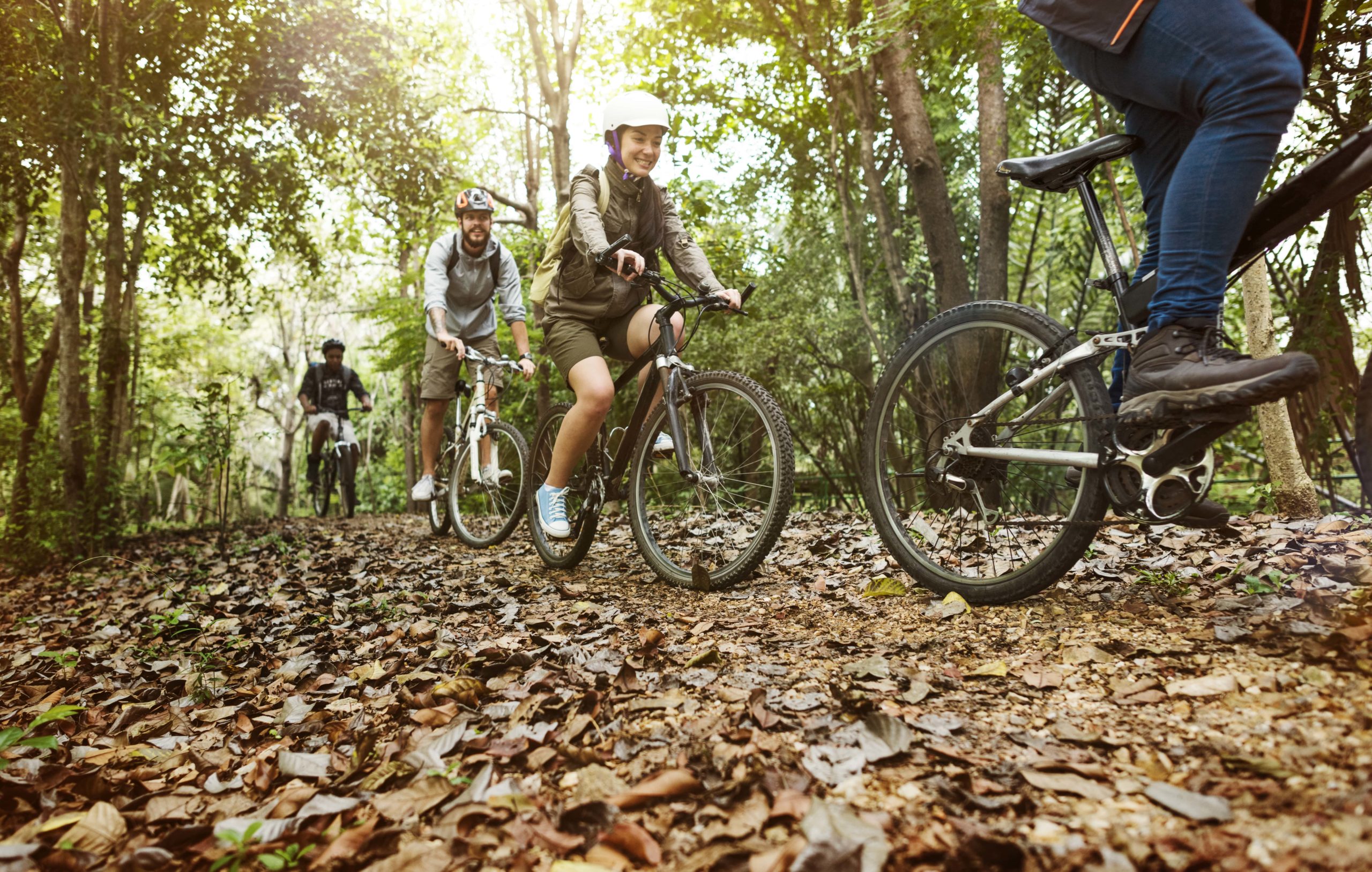 Groep vrienden mtb Koeien in weiland