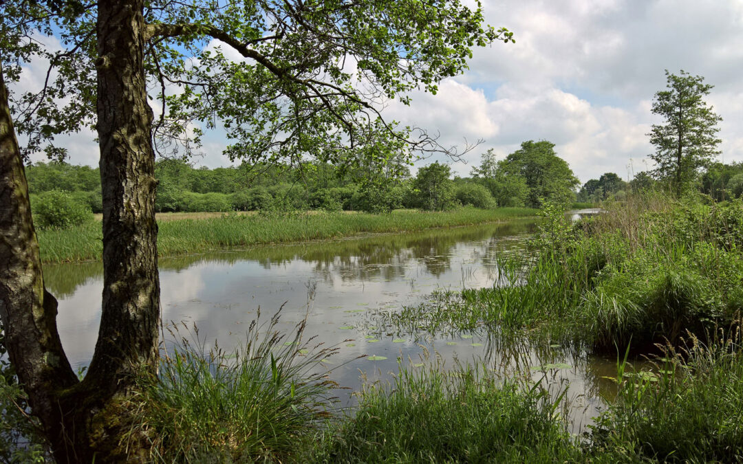 Fietsen langs de Lindevallei bij Noordwolde – ontdek de natuur dichtbij Grenzeloos Lindevallei nabij Noordwolde – natuurgebied op fietsafstand van Grenzeloos in Doldersum