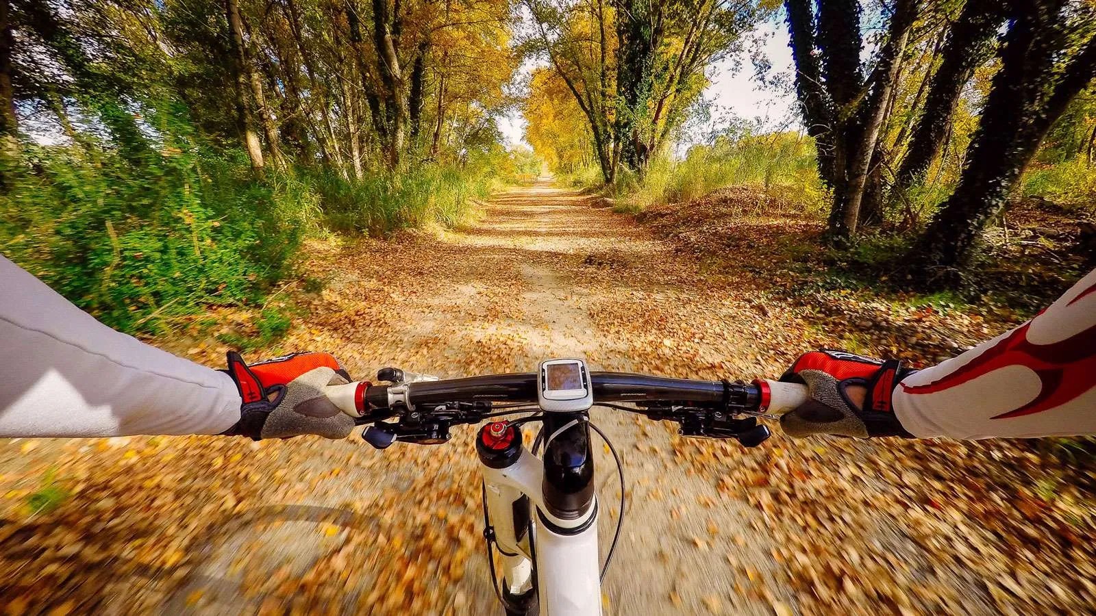 mtb-gopro-herfst-1-2 Koloniën van Weldadigheid, een romantische wandeling door het Drentse landschap.