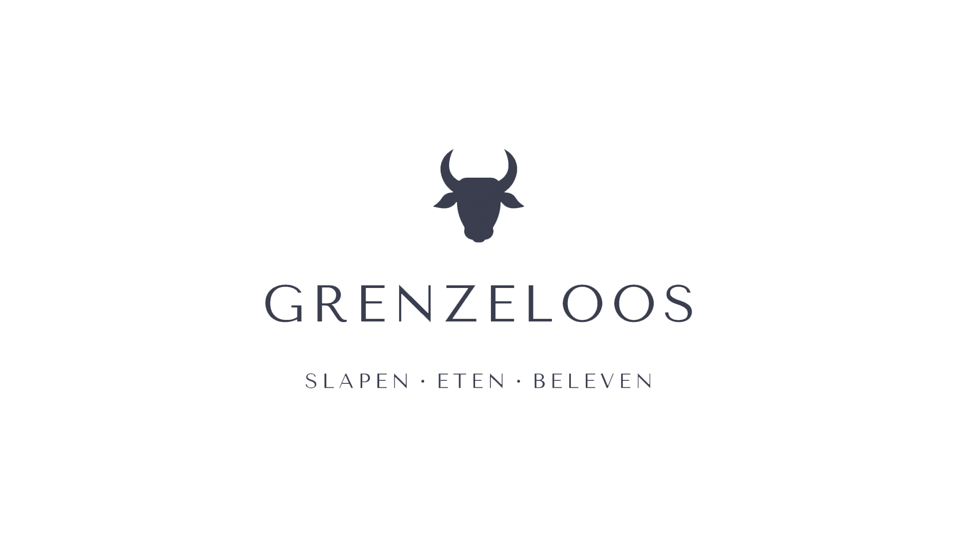Grenzeloos logo, blauw klein